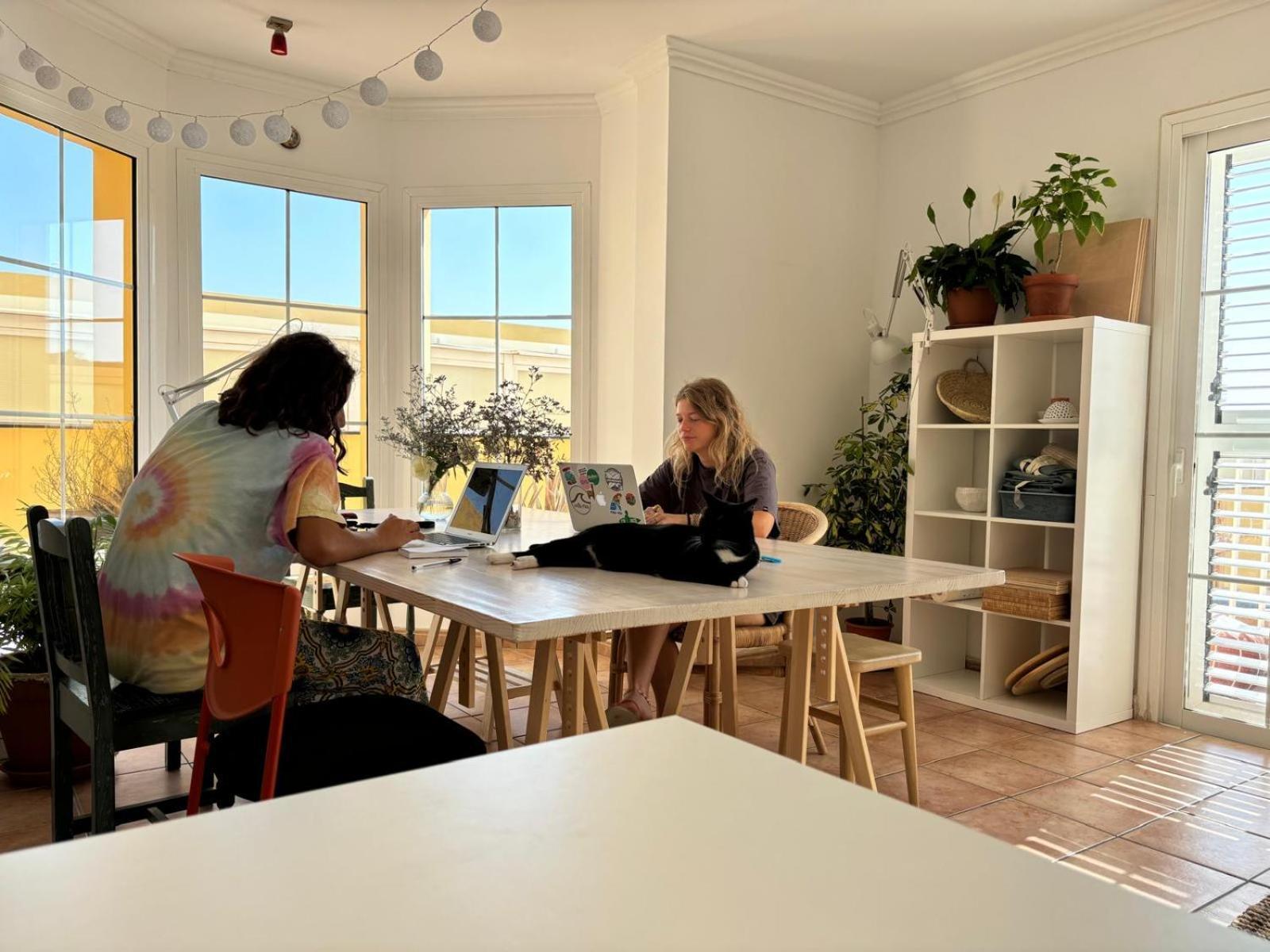 Medano Beach Coliving エル・メダノ エクステリア 写真